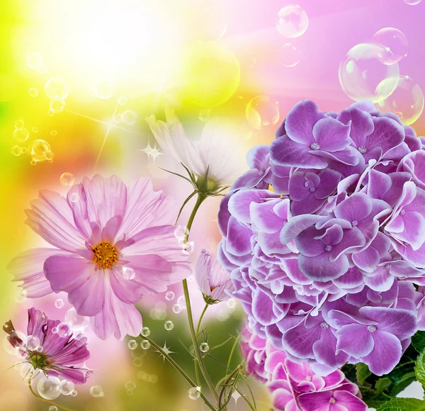 Floral Summer background — Stock Photo, Image