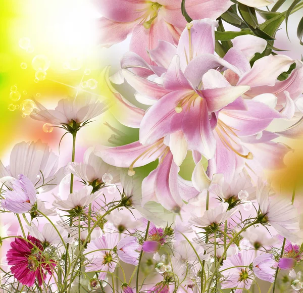 Floral Summer background — Stock Photo, Image