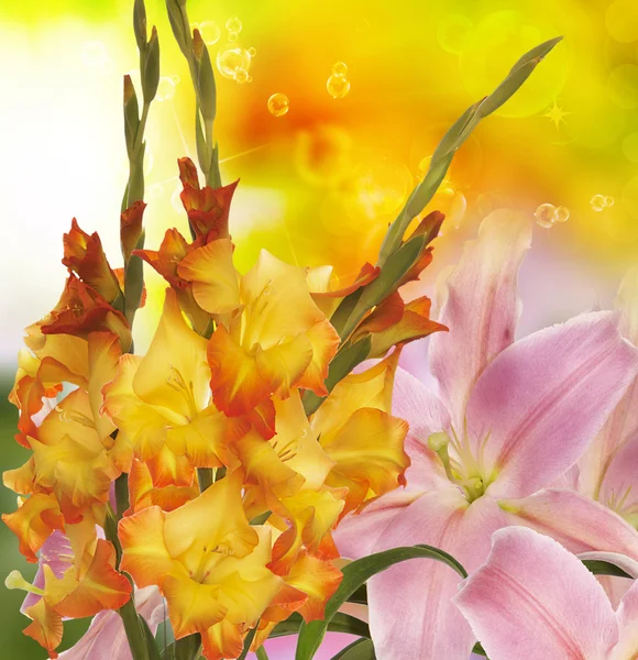 Schöner floraler Hintergrund. Gladiolen — Stockfoto