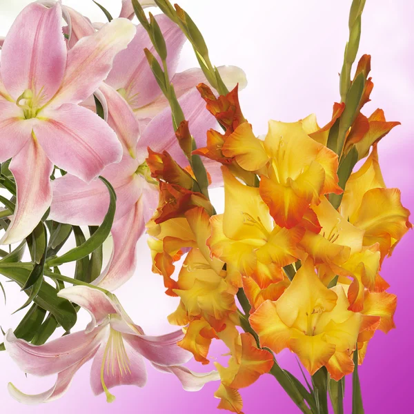 Fundo floral bonito.Gladiolus — Fotografia de Stock