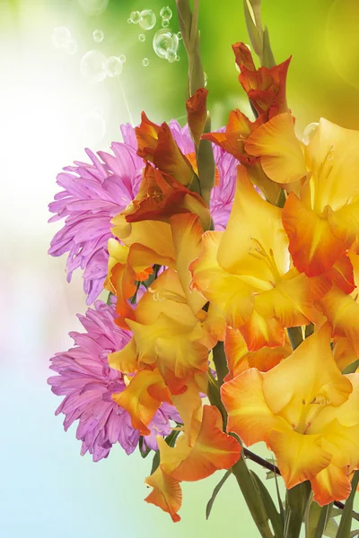 Mooi boeket gladiolas — Stockfoto