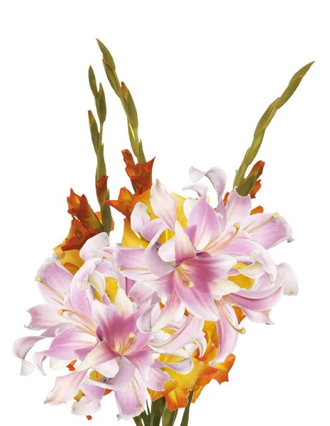 Bellissimo bouquet Gladiolas — Foto Stock