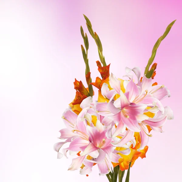 Schöner Strauß Gladiolen — Stockfoto