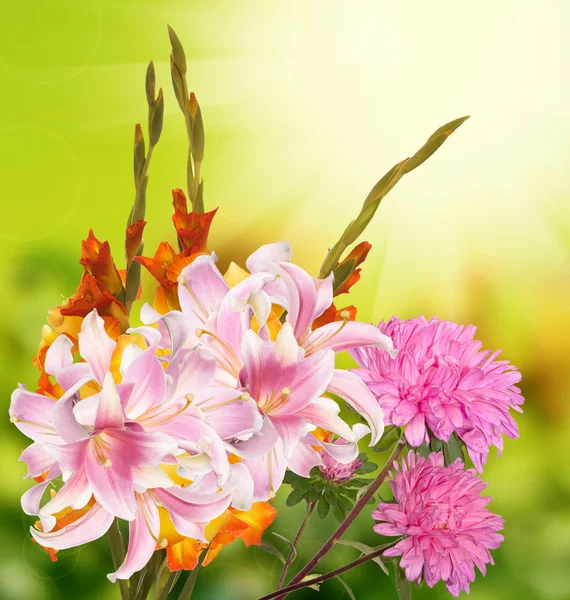 Bellissimo bouquet Gladiolas — Foto Stock