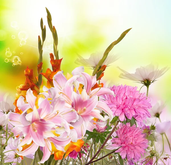 Beautiful bouquet Gladiolas — Stock Photo, Image