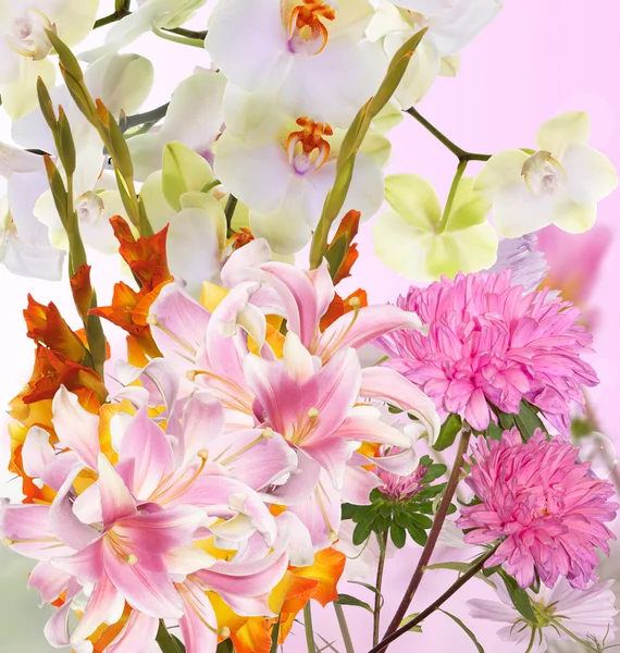 Mooi boeket gladiolas — Stockfoto