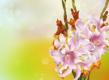 Gladiolus.Bouquet