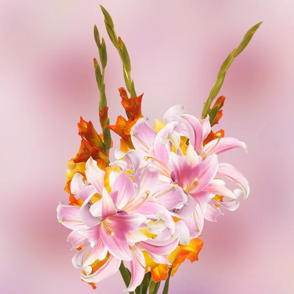 Gladiolus.Bouquet — Φωτογραφία Αρχείου