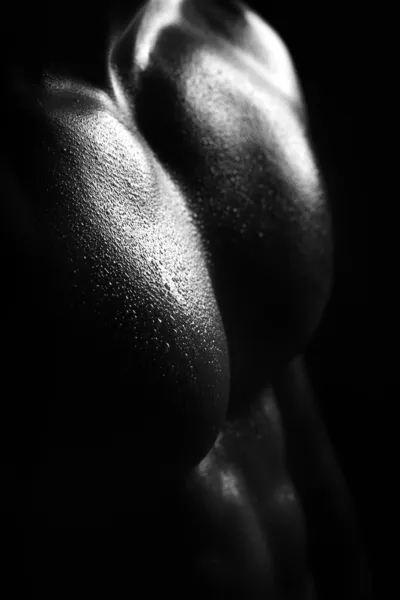 Male torso closeup — Stock Photo, Image