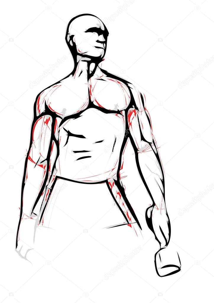 bodybuilder illustration