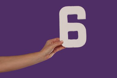 Female hand holding up the number 6from the left