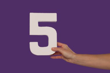 Female hand holding up the number 5 from the right