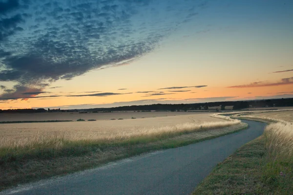 Восход солнца среди пшеничных полей летом — стоковое фото