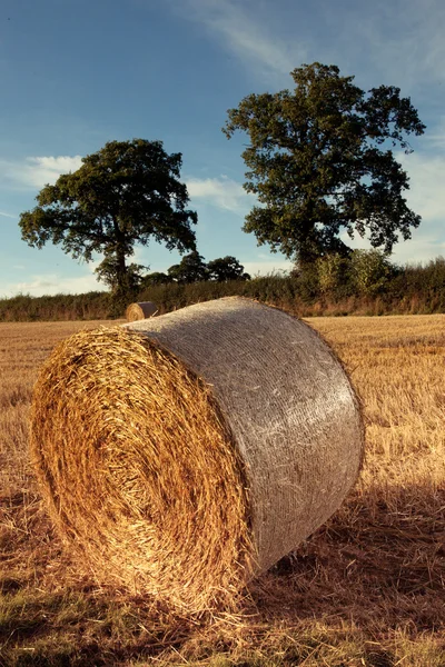 Fardos de feno no campo após a colheita, uk — Fotografia de Stock