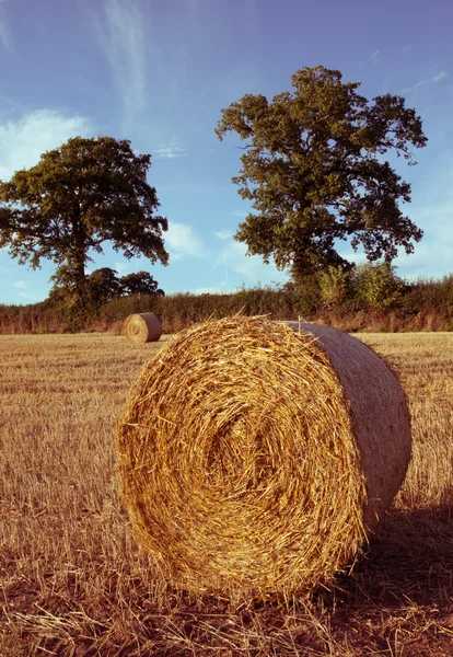 Balle di fieno sul campo dopo il raccolto, Regno Unito — Foto Stock