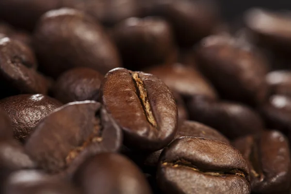 Fondo del grano de café — Foto de Stock