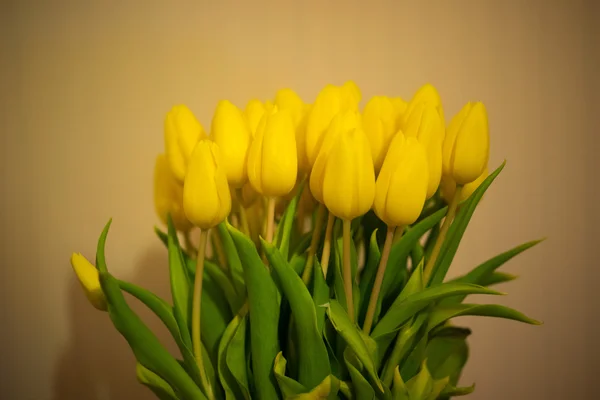 Bouquet of colorful yellow spring tulips — Stock Photo, Image