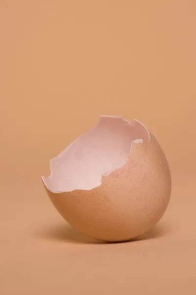 Empty halved broken egg shell — Stock Photo, Image