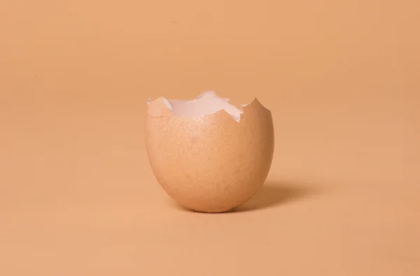 Regal mit dem Ei — Stockfoto