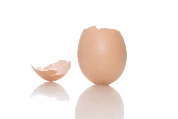 Invólucro de ovo quebrado vazio em um fundo branco — Fotografia de Stock