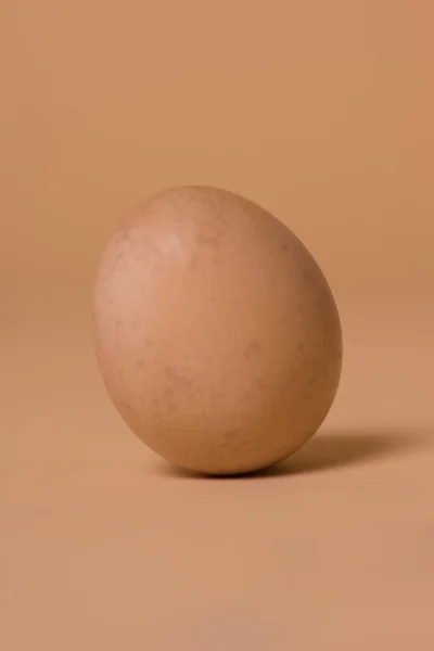 Egészséges szabadtartás barna tyúk tojás — Stock Fotó