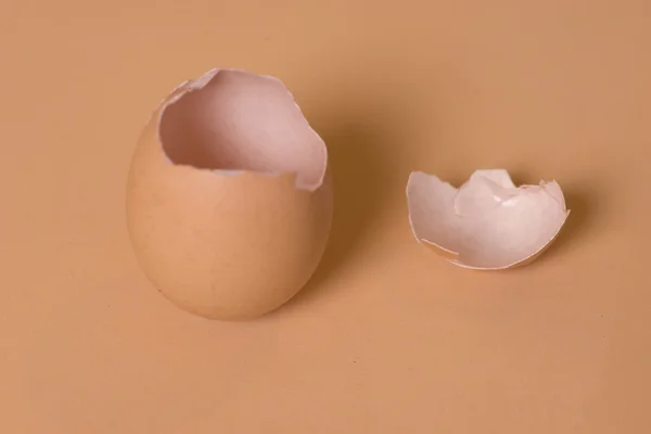 Cáscara de huevo marrón vacía rota — Foto de Stock