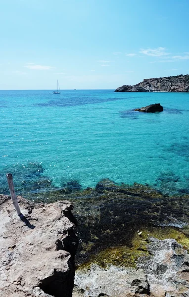 Cala Tarida in Ibiza beach San Jose at Balearic Islands — Stock Photo, Image