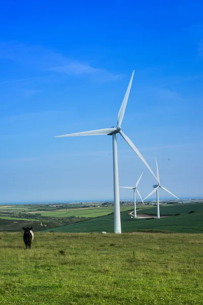 Paysage rural pittoresque avec moulins à vent, en été — Photo