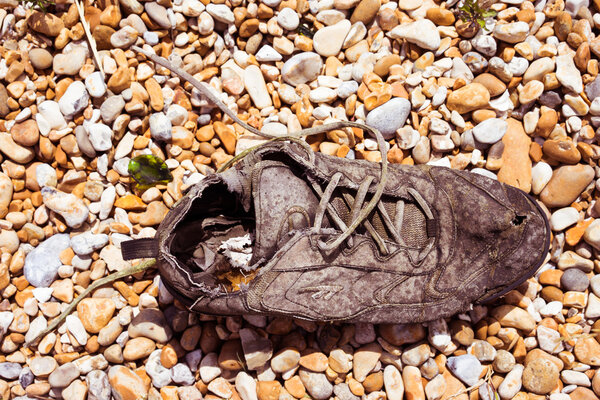 Old rotting lace up sneaker shoe