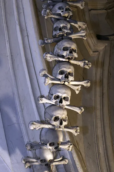 Ludzkie kości. — Zdjęcie stockowe