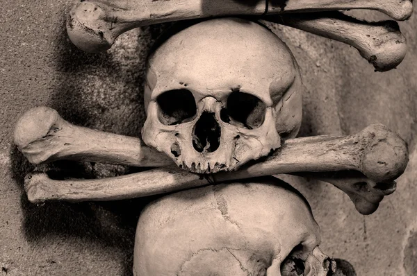 Huesos humanos . — Foto de Stock