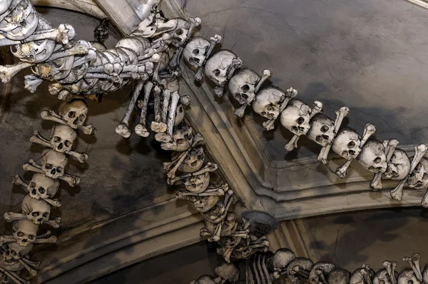 Menschliche Knochen. — Stockfoto