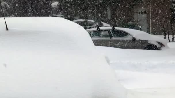 Sneeuw overdekte auto 's. — Stockvideo