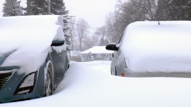 Carros cobertos de neve . — Vídeo de Stock
