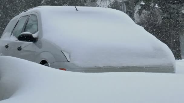 Coches cubiertos de nieve . — Vídeo de stock