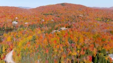Göl manzarası ve sonbahar yeşillik renkleri. 4K kameralı drone çarpıcı sonbahar yeşillik renklerini ve tenha göl evlerini yakalıyor.