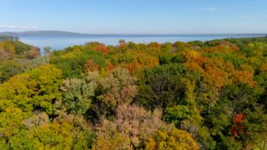 Nehir ve sonbahar yeşillik renklerinin havadan görünüşü. 4K kamera dronu ağaç tepelerine dikey tırmanış, güzel sonbahar renkleri ve nehir manzarası.