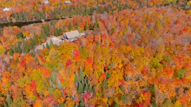 Камера Дрона Панорамный Вид Потрясающие Цвета Осенней Листвы Уединенные Дома — стоковое видео