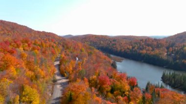 4K kameralı insansız hava aracı çarpıcı sonbahar yeşillik renkleri ve dağ gölü manzarası.