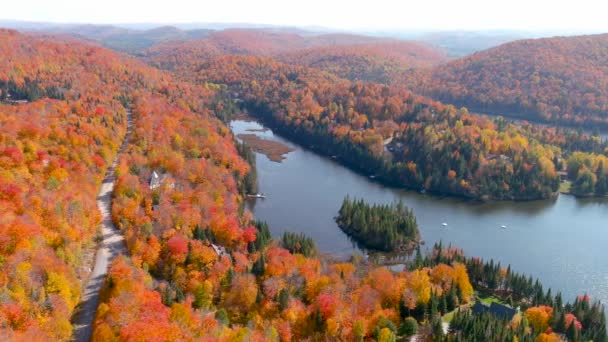 Drone Cámara Captura Impresionantes Colores Follaje Otoño Casas Aisladas Lago — Vídeos de Stock