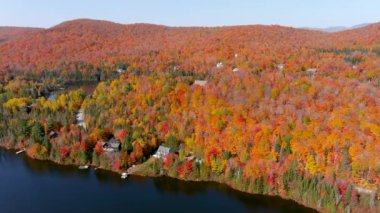 4K kamera dronu gölün üzerinde uçarken çarpıcı sonbahar yeşillik renklerini yakalar.