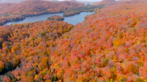 Camera Drone Panoramisch Uitzicht Prachtige Herfst Gebladerte Kleuren Een Bergmeer — Stockvideo