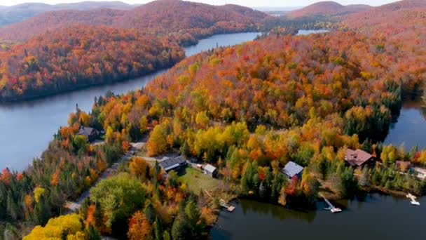 4K相机无人驾驶全景壮观的秋天树叶的颜色和隐秘的湖畔房屋 — 图库视频影像