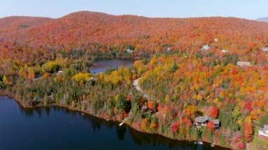 4K kamera dronu gölün üzerinde uçarken büyüleyici sonbahar yeşillik renklerini yakalıyor.
