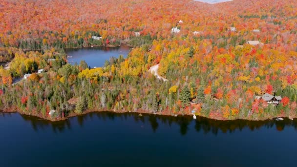 Camera Drone Captures Stunning Autumn Foliage Colors While Flying Lake — Stock Video