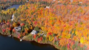 4K kameralı drone çarpıcı sonbahar yeşillik renklerini ve tenha göl evlerini yakalıyor.