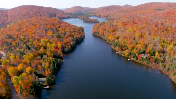从空中俯瞰湖水和秋天的树叶颜色 4K相机无人机捕捉到令人叹为观止的秋天树叶色和隐秘的湖畔房屋 — 图库视频影像