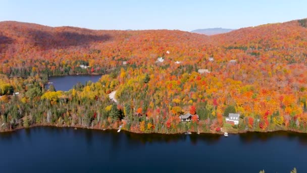 Camera Drone Panning Panorama View Stunning Autumn Foliage Colors Mountain — Stock Video