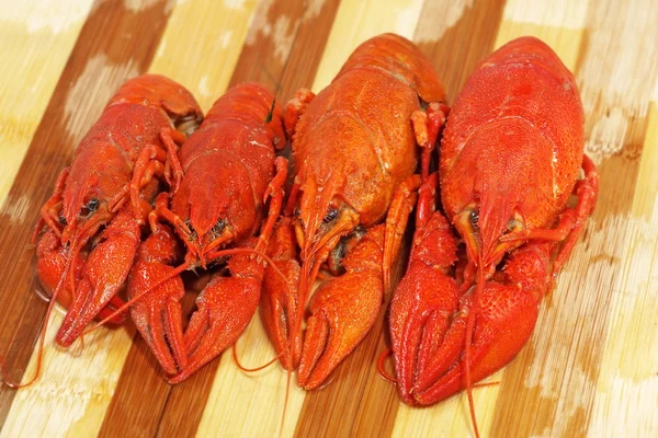 Cztery czerwone gotowane crawfishes podjęte zbliżenie. — Zdjęcie stockowe