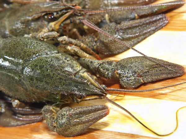 Peces cangrejos sin cocer . — Foto de Stock